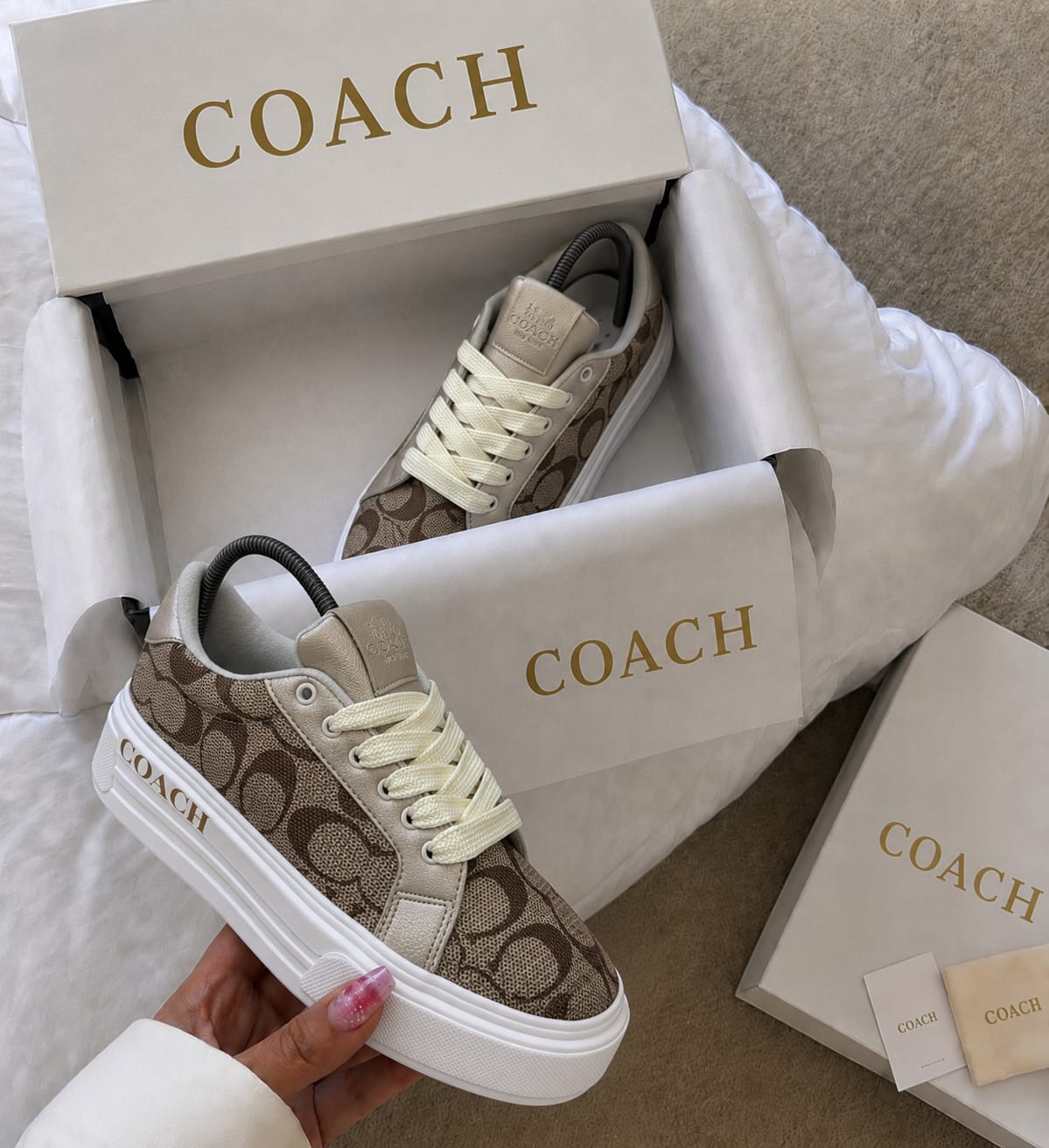 COACH | DAMA