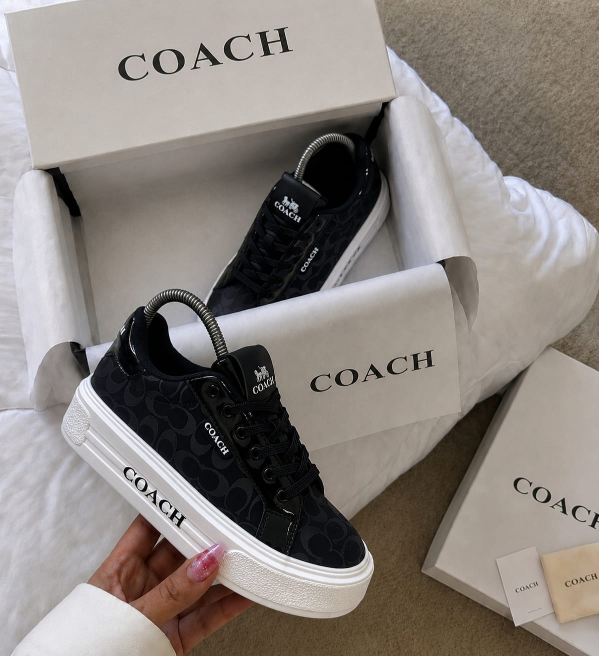 COACH | DAMA