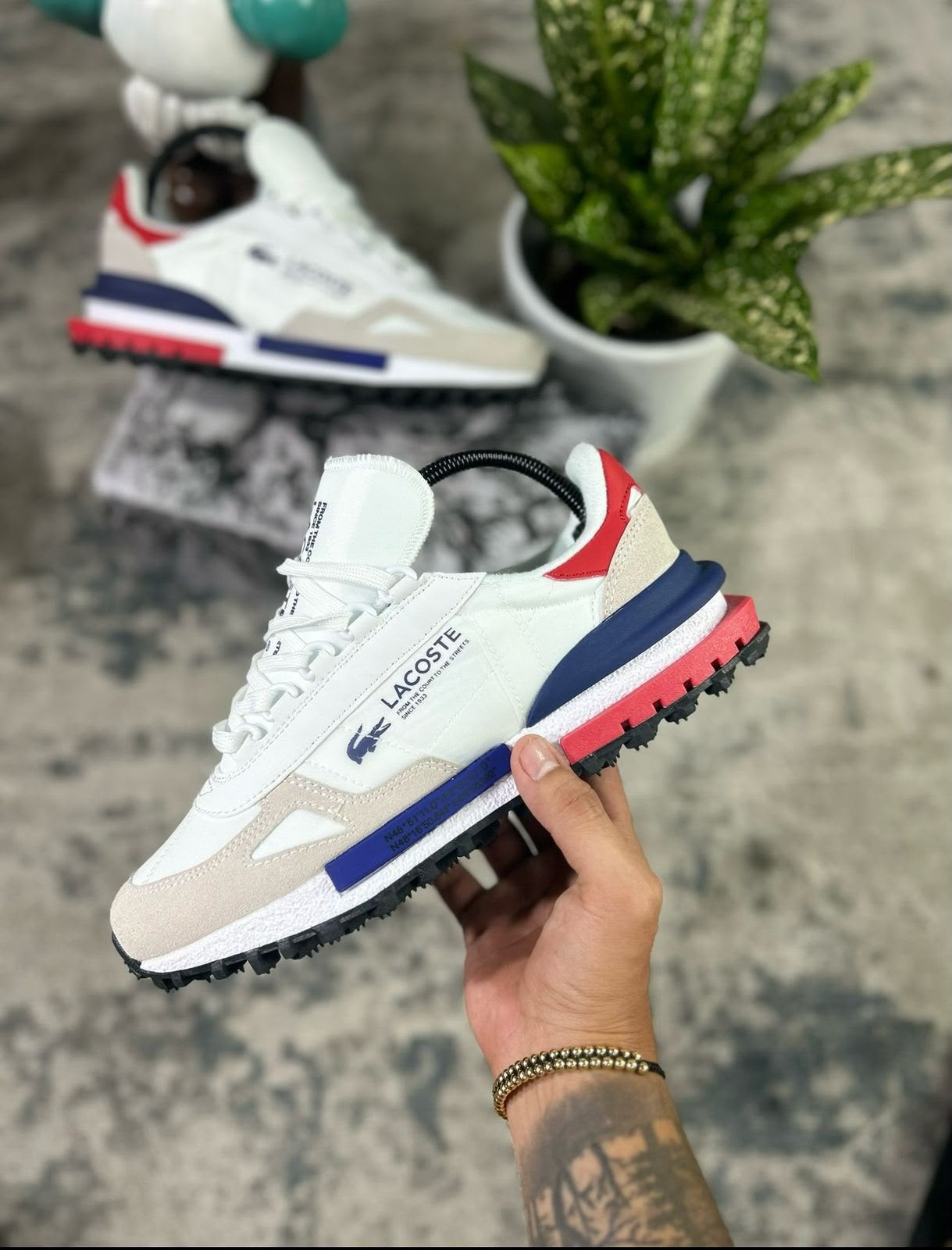 LACOSTE | HOMBRE